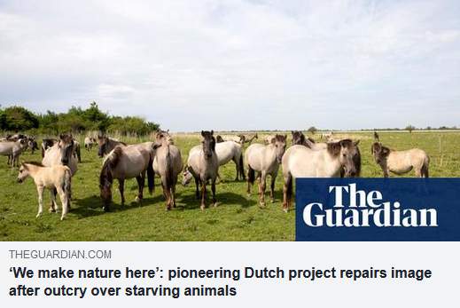 Dutch rewilding