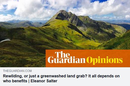 Rewild or Greenwash