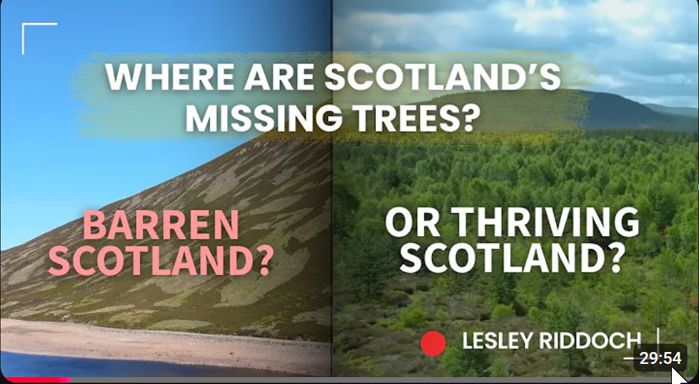 Scotland's Missing Forests
